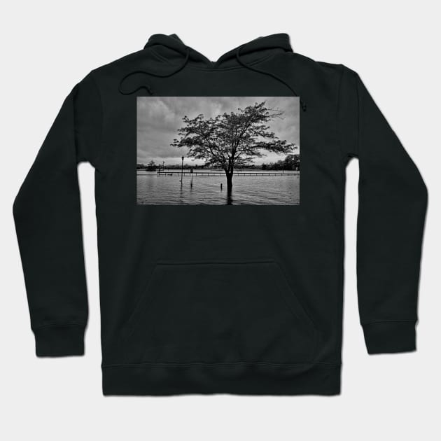 STL Flood Study 1 Hoodie by bobmeyers